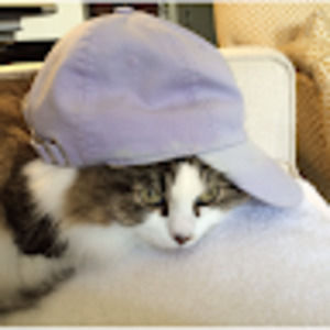 Meet your Posher, Debbie